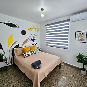 Urban Tropical Oasis In San Juan